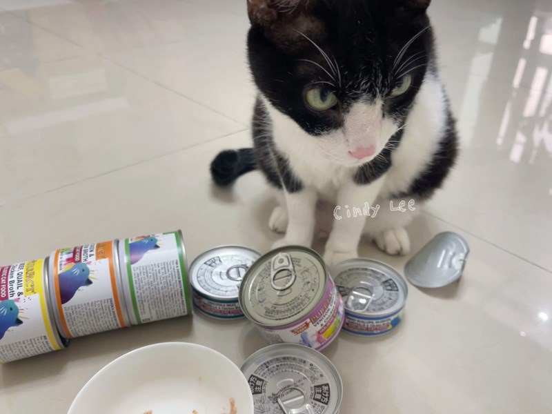 女人知己試用大隊,口碑行銷,部落客行銷,PURRFACT 波菲特貓用主食罐,主食罐,PURRFACT波菲特,貓主食罐,貓罐,PURRFACT波菲特貓用主食罐,魚肉蔓越莓主食罐,鮮嫩雞主食罐,鹿肉雞肉主食罐,牛肉鵪鶉貓主食罐,干貝蠶蛹配方,鱷魚肉白木耳配方,雞肉魚肉配方,安心鶉配方,評價,體驗,適口性佳,心得,成貓適用,高齡貓適用,質地是慕絲狀